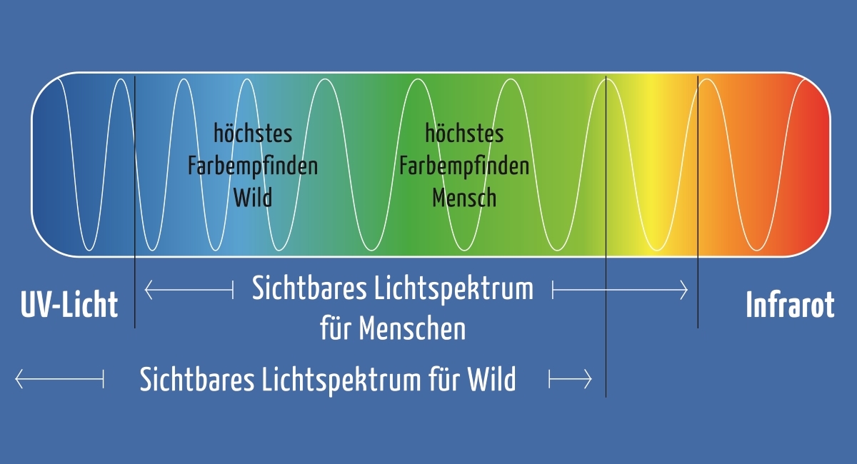 Wirkung auf Wildtiere - Farbspektrum